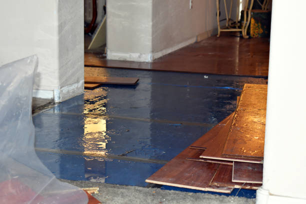 Professional Burst Pipe Cleanup technician working in Perrinton, MI
