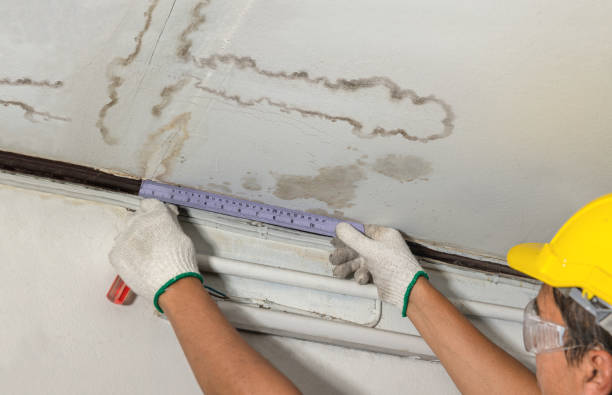 Reliable Burst Pipe Cleanup contractor in Perrinton, MI by Water Damage Irwin